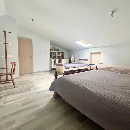 Spacious 1 Bedroom With An Attic Bedroom