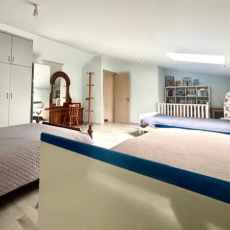 Spacious 1 Bedroom With An Attic Bedroom Apartment *