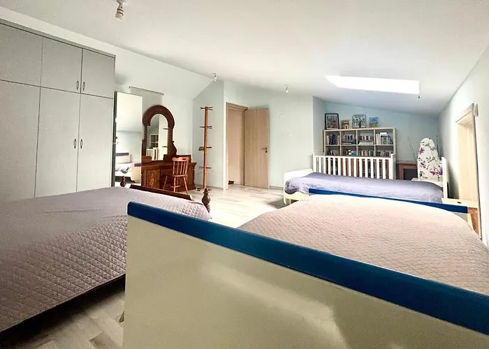 Spacious 1 Bedroom With An Attic Bedroom Apartment *